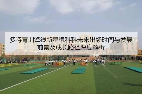 多特青训锋线新星穆科科未来出场时间与发展前景及成长路径深度解析