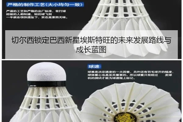 切尔西锁定巴西新星埃斯特旺的未来发展路线与成长蓝图