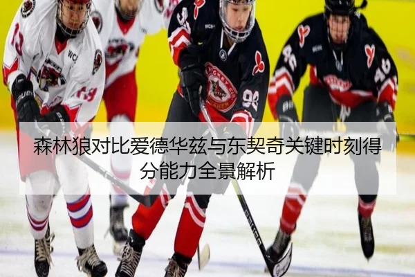 森林狼对比爱德华兹与东契奇关键时刻得分能力全景解析
