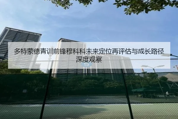 多特蒙德青训前锋穆科科未来定位再评估与成长路径深度观察